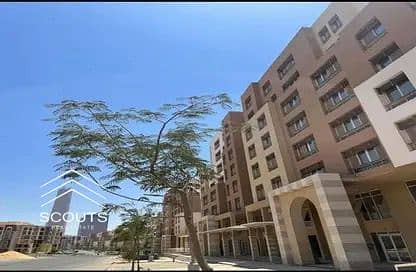 9 IMG-20251012-WA0029. jpg