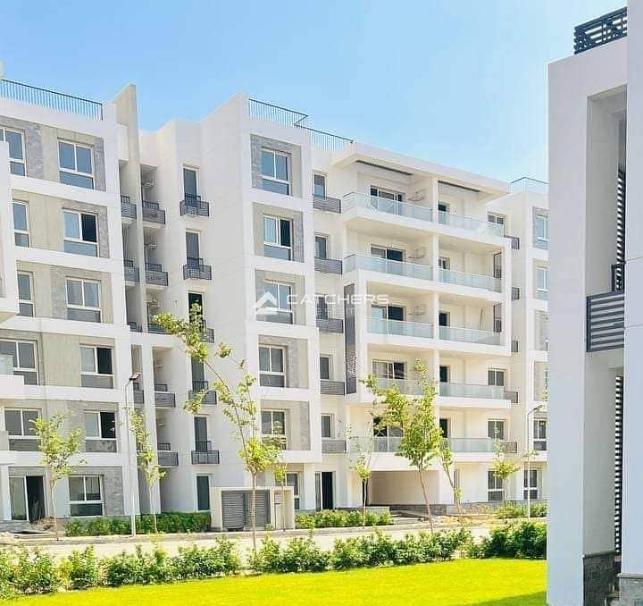 4 396190586_219119944522250_2705231831464003408_n. jpg