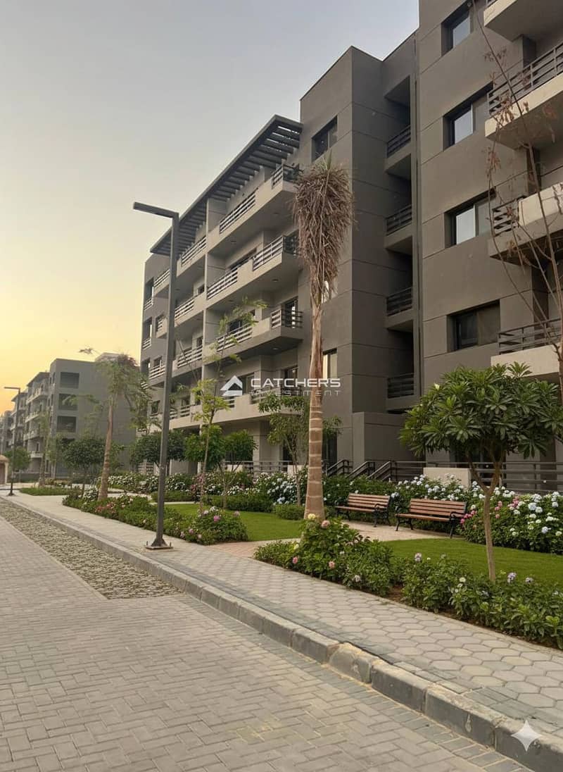 8 Gemini_Generated_Image_6po4366po4366po4. png