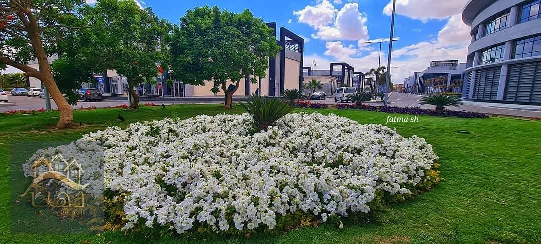 32 476907302_1028285285990899_5655700840294681029_n. jpg