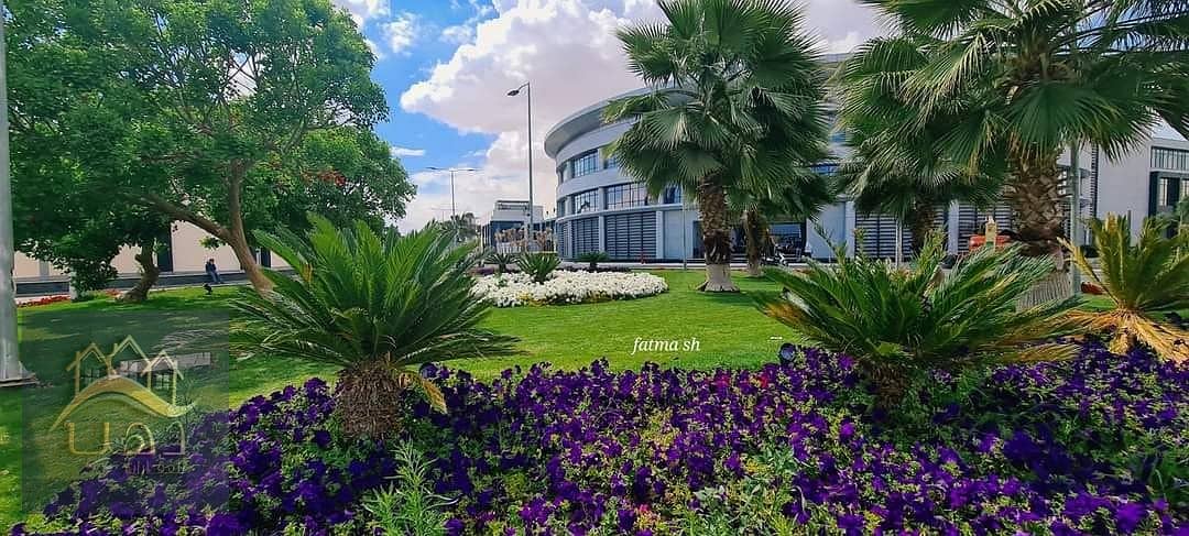 34 477599285_1028285495990878_5467195779831533223_n. jpg