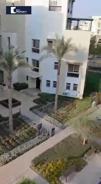 10 Screenshot (241). png