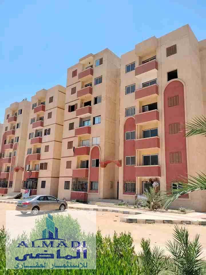 3 1765646164674. jpg