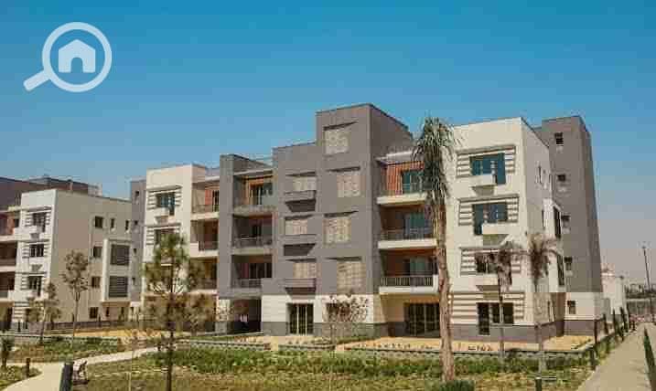 10 images (65). jpeg