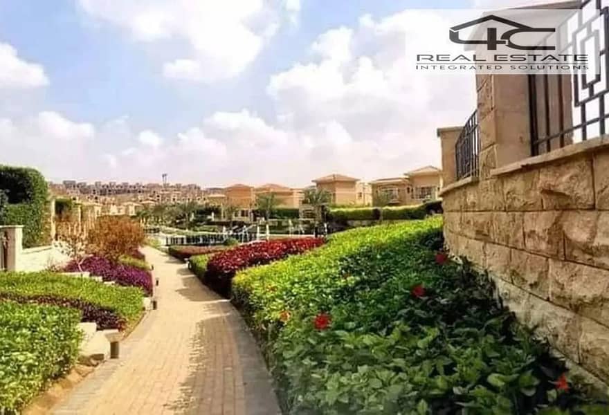 11 5923058-eedado. png