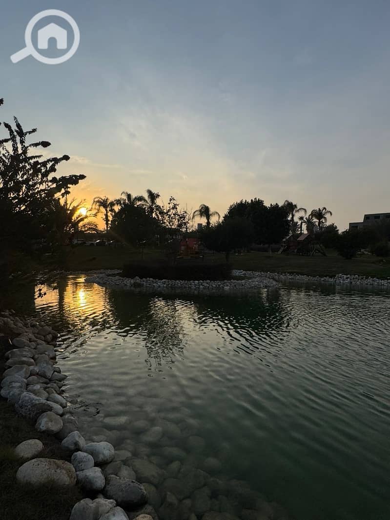 11 a0856959-fa12-4616-a31d-fdc2af4e16bc. jpg