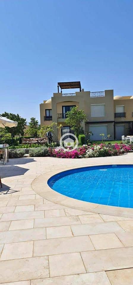 12 583330346_1174041224123120_219025327678147437_n. jpg