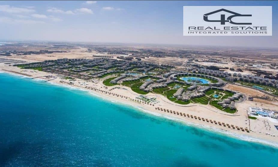 3 Screenshot (3). png