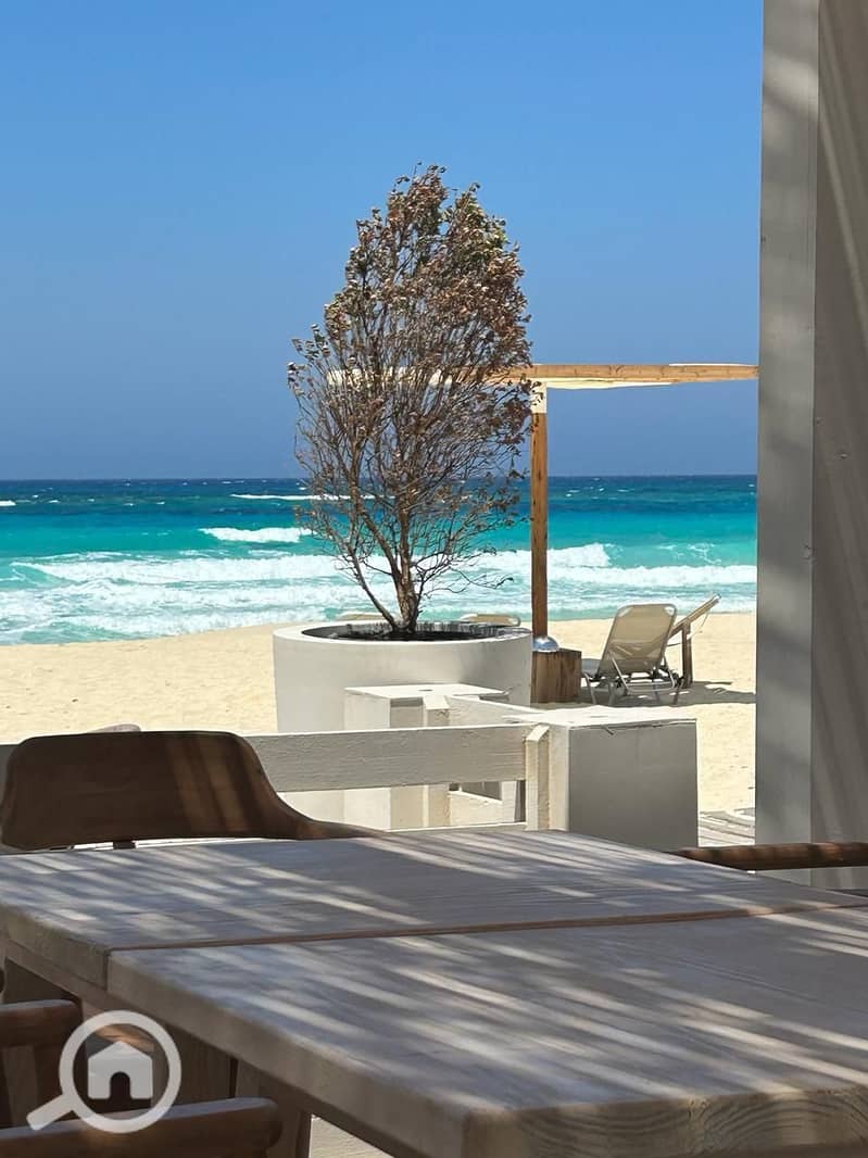 WhatsApp Image 2025-08-07 at 4.49. 58 PM (1). jpeg WhatsApp Image 2025-08-07 at 4.49. 58 PM (1). jpeg