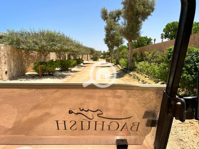 8 WhatsApp Image 2025-08-07 at 4.49. 57 PM. jpeg