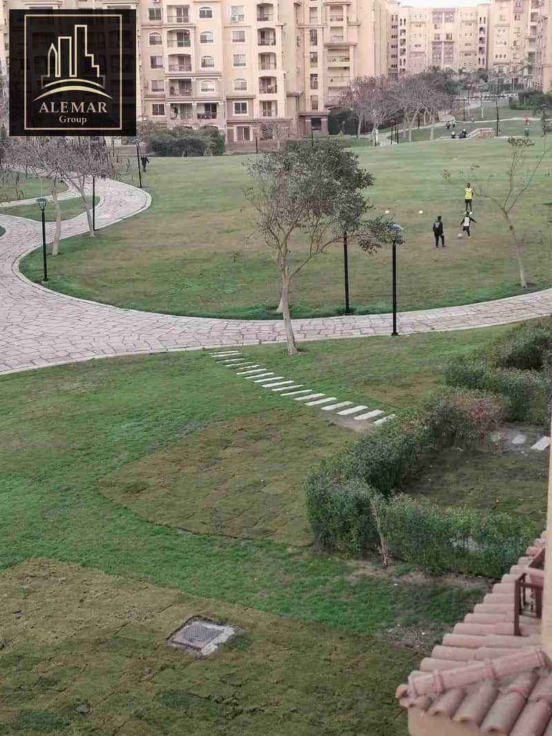 1000606080. jpg 1000606080. jpg