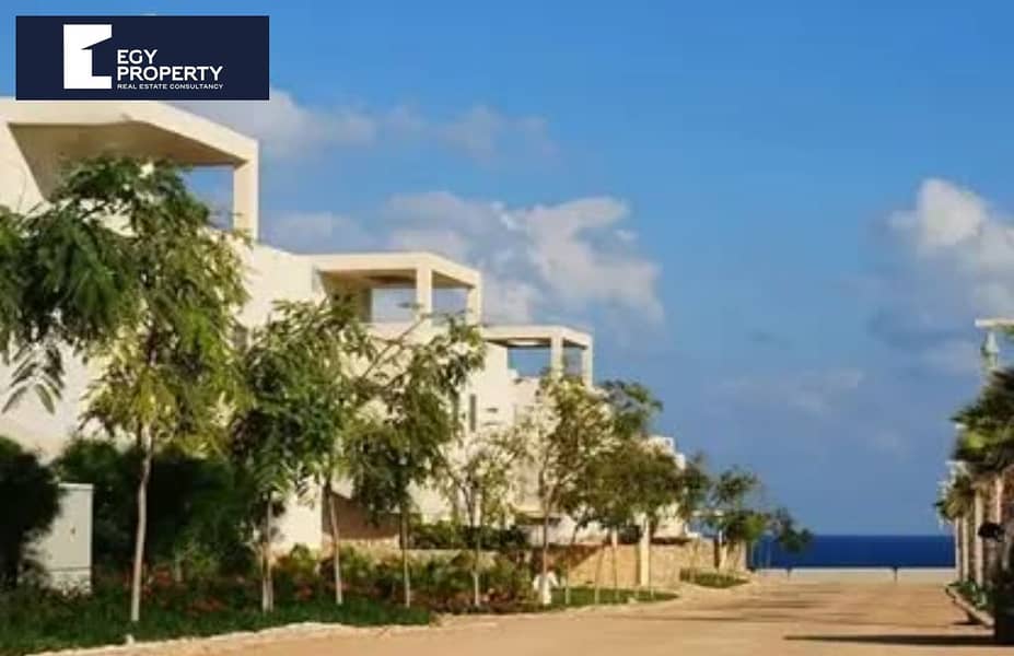 3 WhatsApp Image 2025-12-13 at 23.26. 50_2c96c5a4. jpg