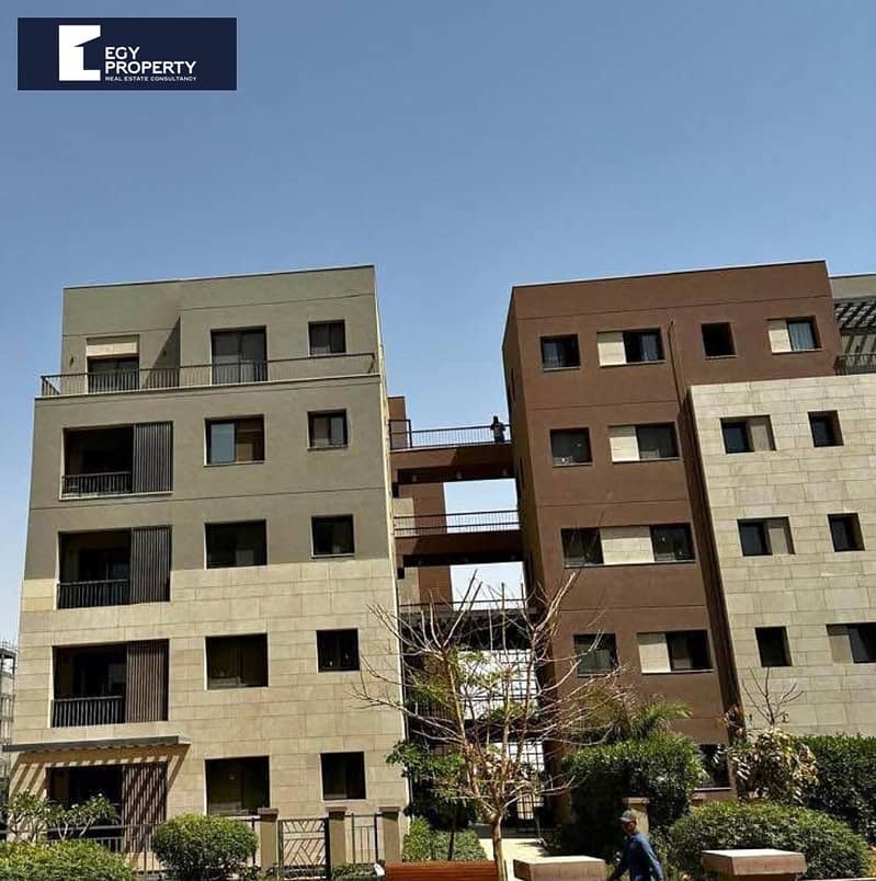 2 WhatsApp Image 2025-12-13 at 23.37. 33_b169d025. jpg