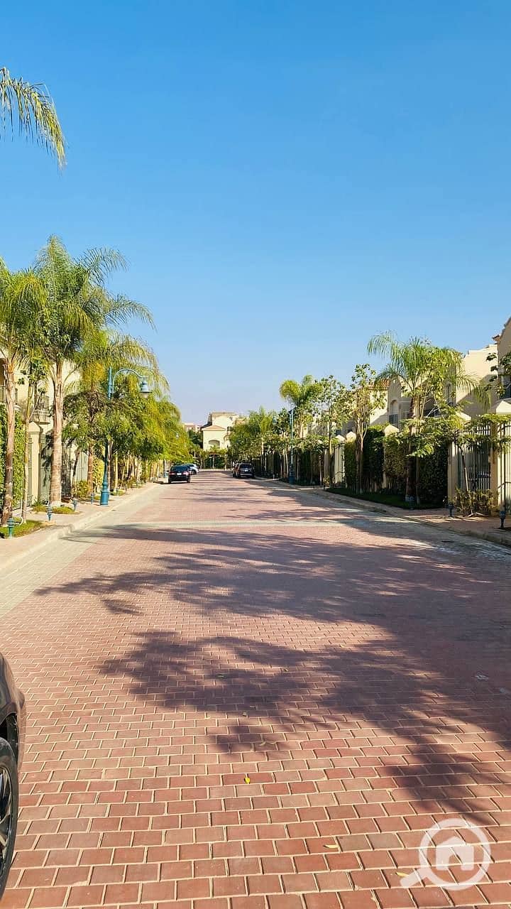 6 photo_2025-01-14_19-09-07. jpg