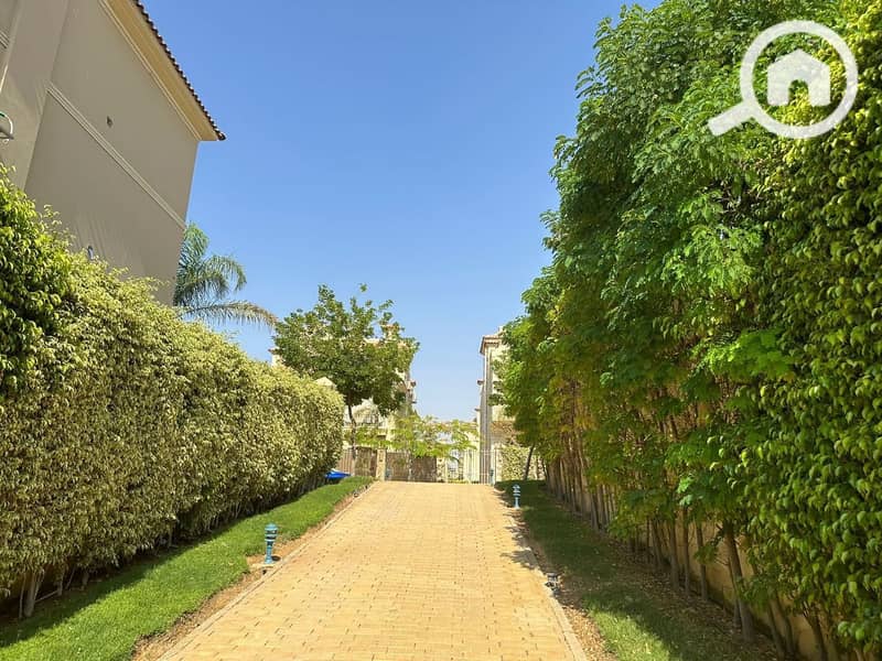 9 photo_2025-03-19_06-37-24. jpg