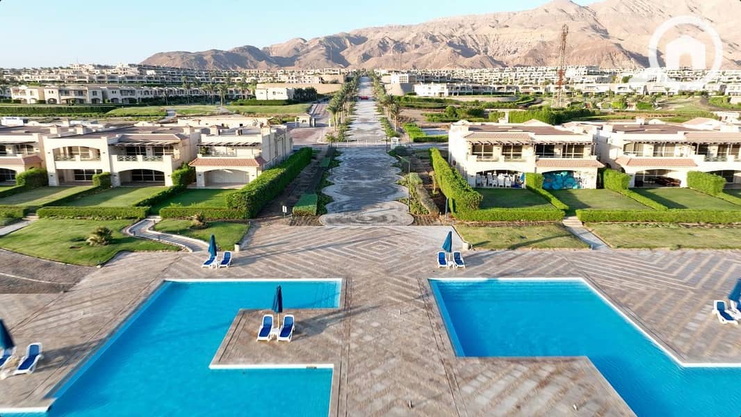 7 photo_2025-02-19_04-49-29. jpg