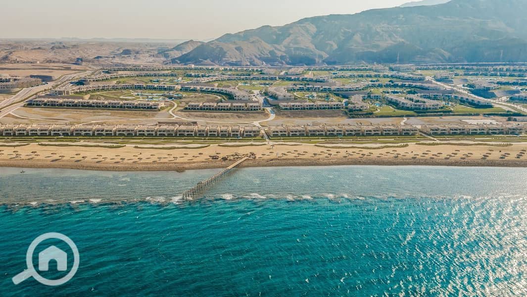 9 photo_2025-02-19_04-49-33. jpg