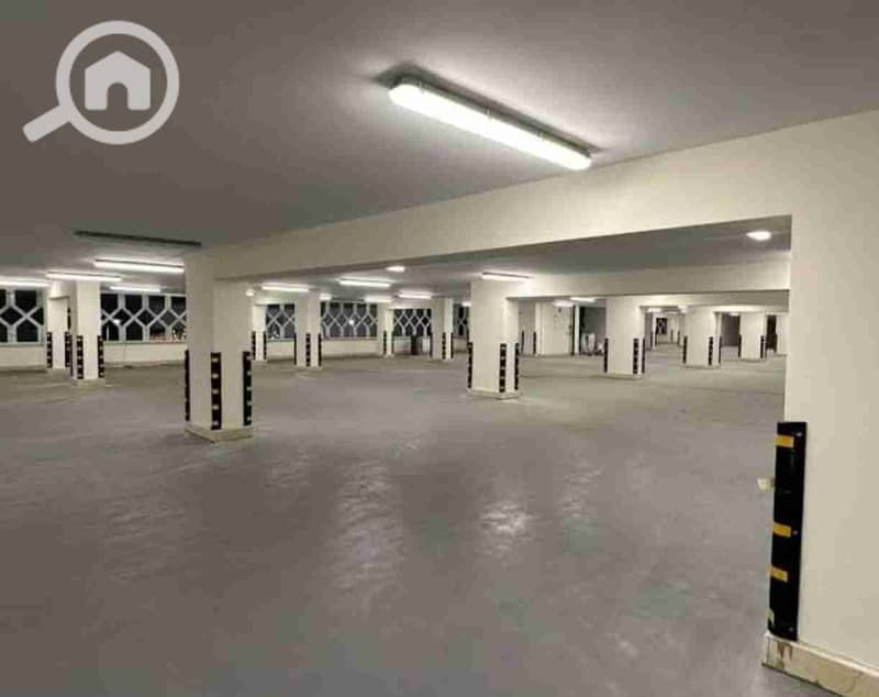 1000392067. jpg 1000392067. jpg