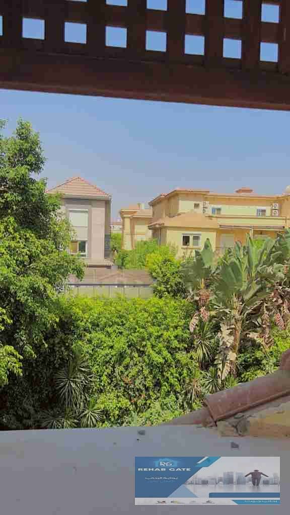 1001445709. jpg 1001445709. jpg