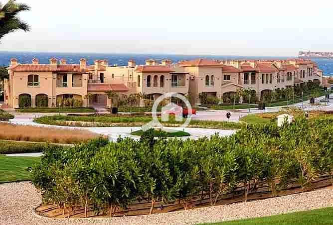 4 2377063-dd862o. webp