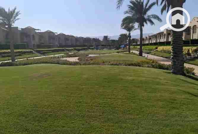 5 2377063-e7e7eo. webp