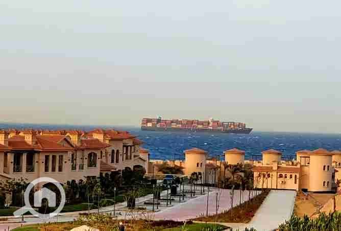 7 2377063-8549co. webp