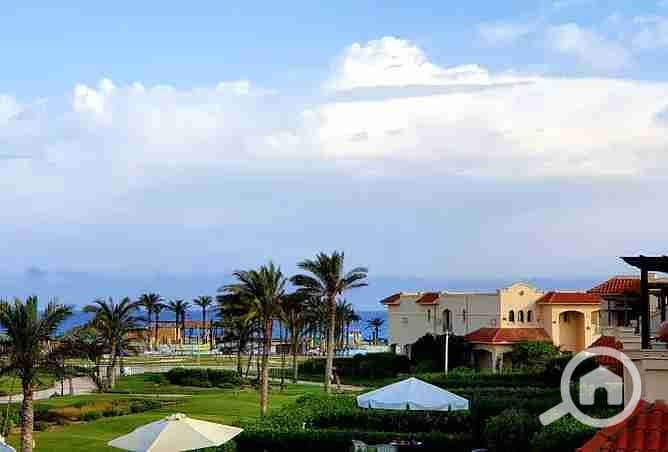 8 2377063-065beo. webp