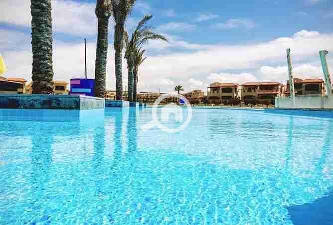 9 2377063-1ed2do. webp