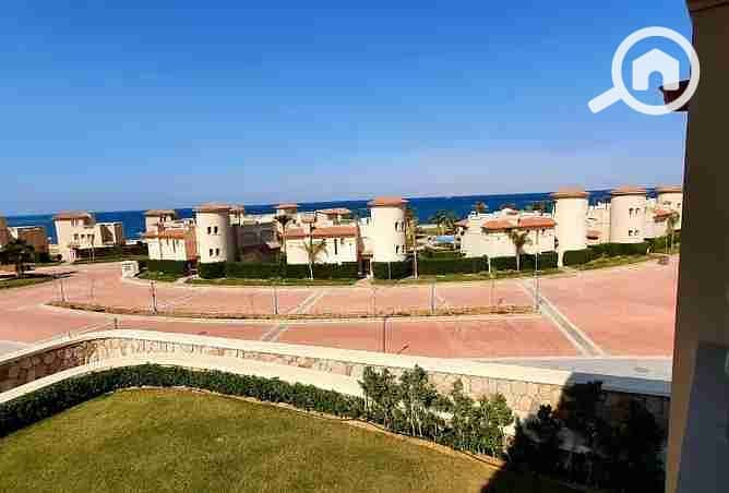 10 2377063-328ddo. webp