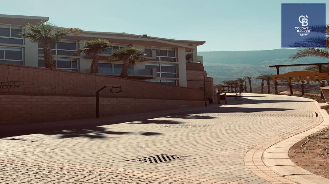 3 7cb46bdc-ea2e-4346-a411-70707c67cc0b. jpg