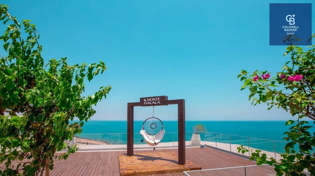 7 cce484b8-f8c6-450b-87b4-d2edb950d137. jpg