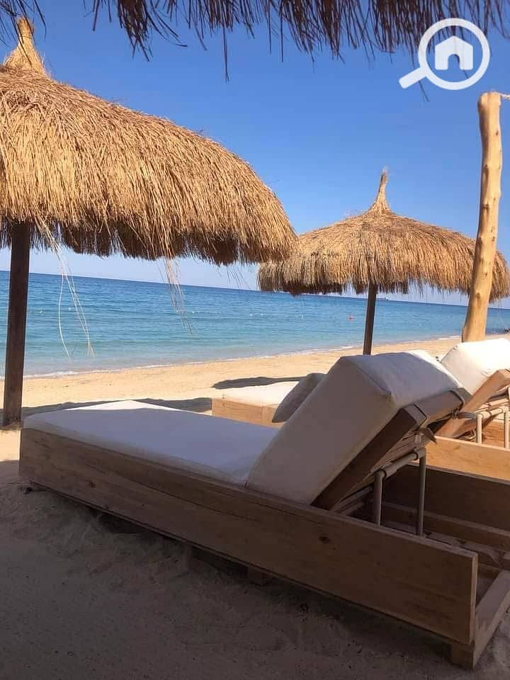 7 493023818_1224111179370222_4728477398761191309_n. jpg