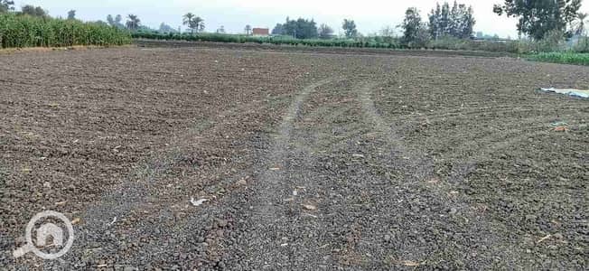 أرض تجارية  للايجار في المعمورة، الإسكندرية - IMG-20201126-WA0011. jpg