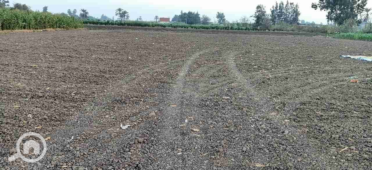 IMG-20201126-WA0011. jpg IMG-20201126-WA0011. jpg