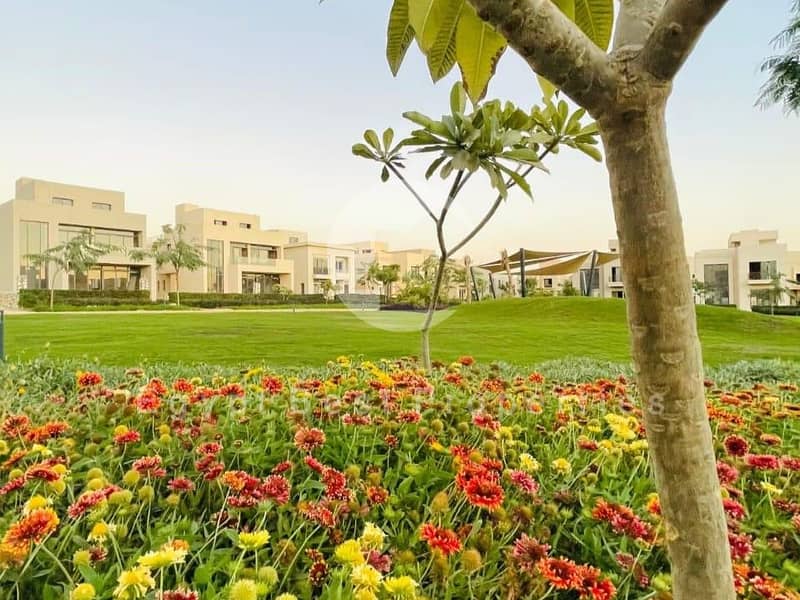 17 IMG-20250209-WA0269. jpg