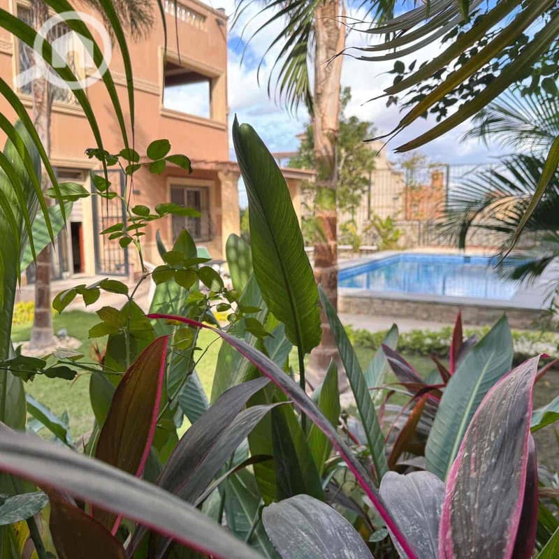 23 4550B608-790E-4E24-965C-A2EF3537EB38. jpg