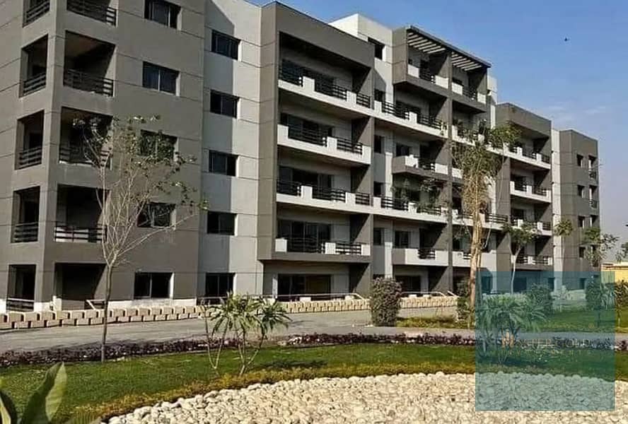 48 sdrftgyhuhygtfre. JPG