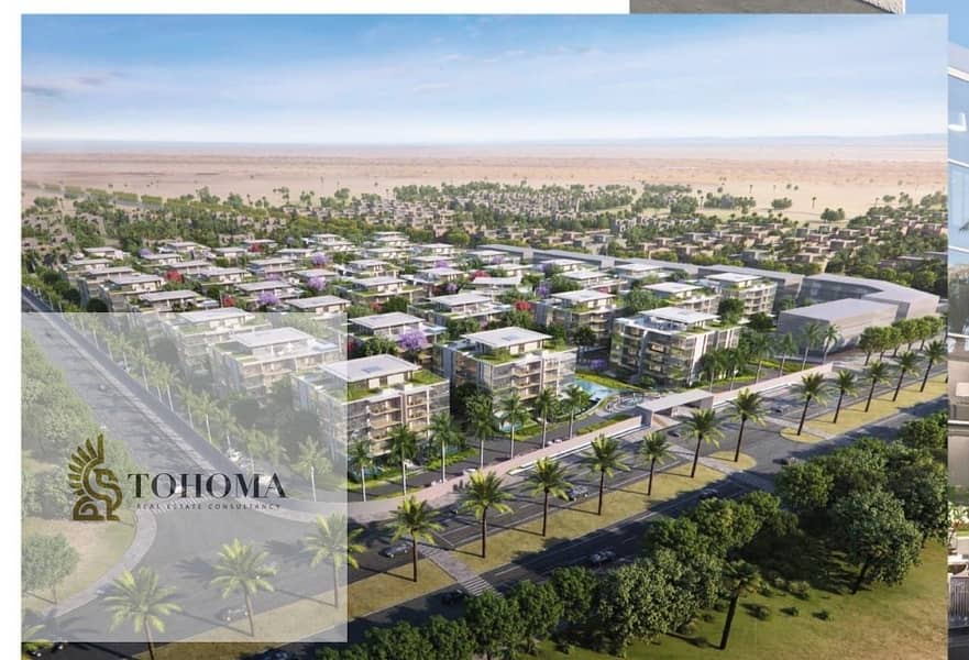 3 49321ed2-c007-4693-a75b-290dbb265674. jpg