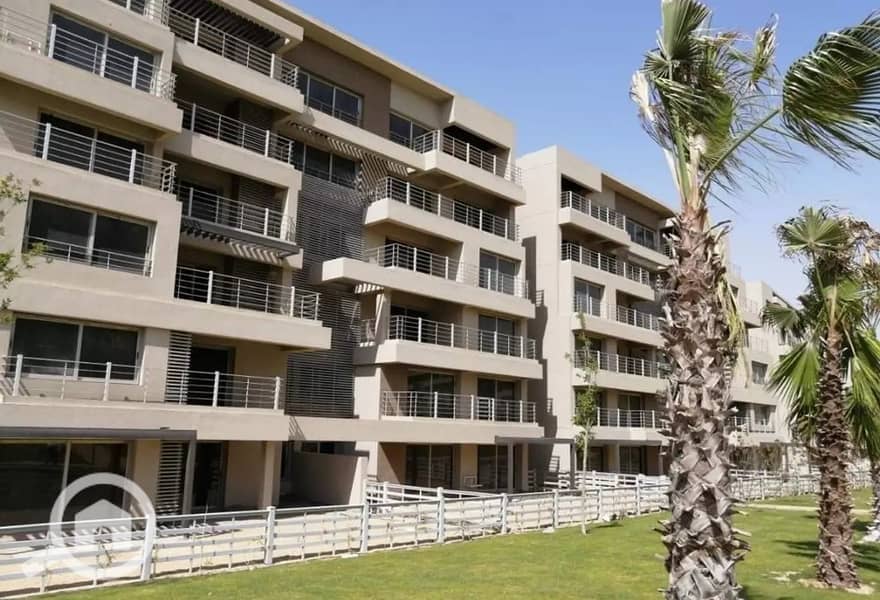 6 287730061_4866117430178415_5317481467774476849_n. jpg