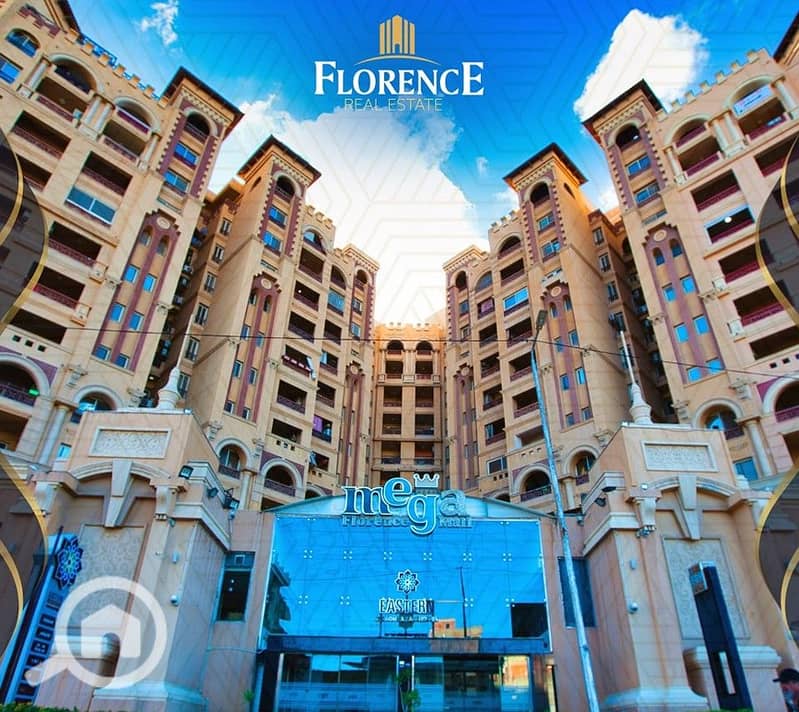 10 490738486_122155705844582371_8705138590463321327_n. jpg