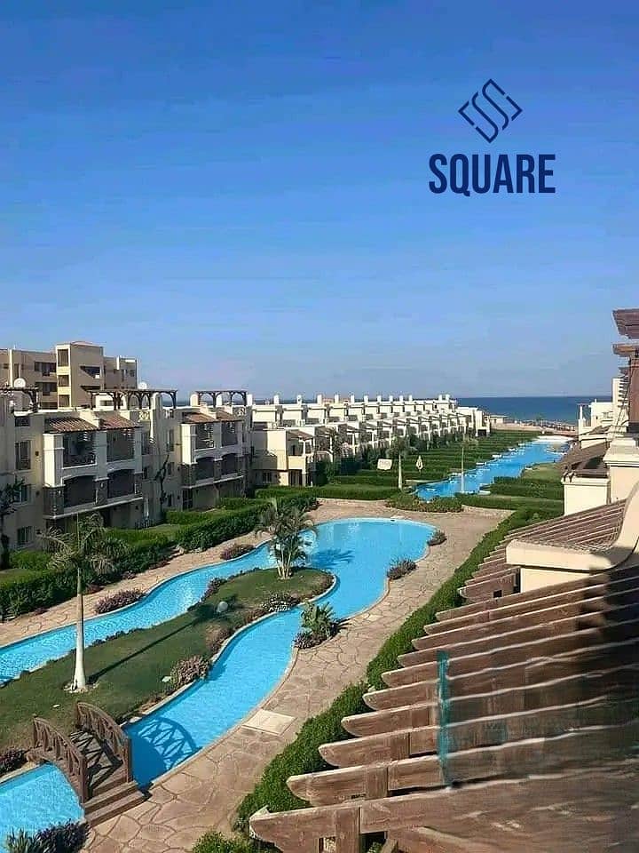 3 30336701-800x600. jpg