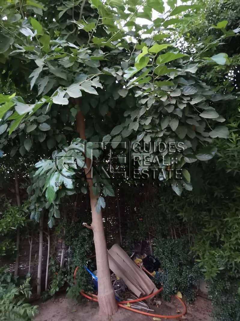 25 IMG-20250216-WA0031. jpg