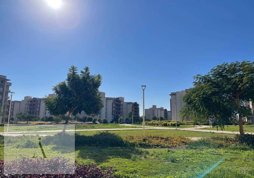 5 WhatsApp Image 2025-12-08 at 11.47. 09 AM (4). jpeg