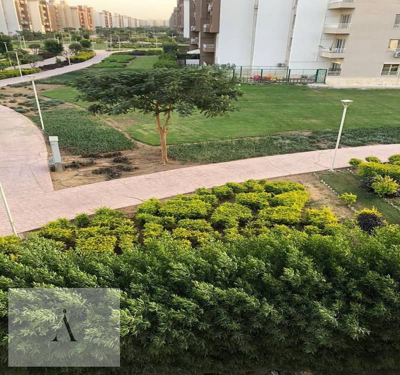 11 WhatsApp Image 2025-12-08 at 11.47. 09 AM. jpeg