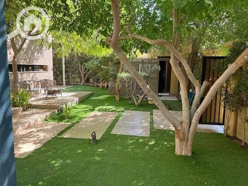 10 f99e72a5-43e3-4590-8434-dffbeb6f7f59. jpg