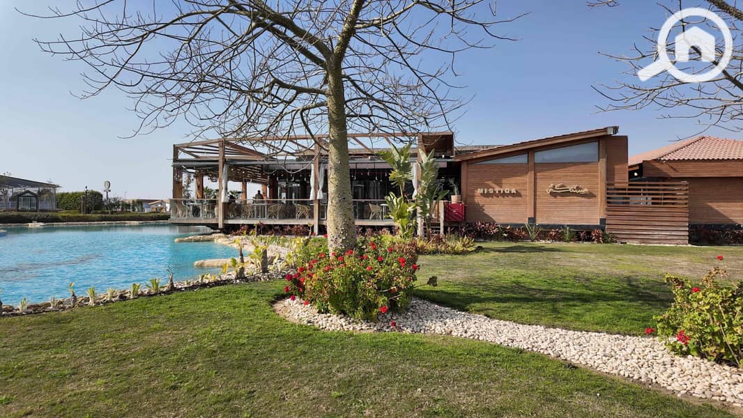 5 01a19010-206c-4241-89fd-a59f40a8361d. jpg