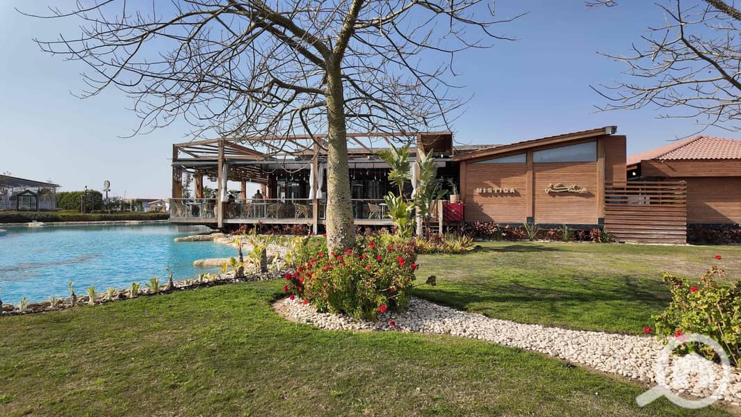 8 50a165f9-aeb5-4d9f-bc64-99b50ad8f60e. jpg