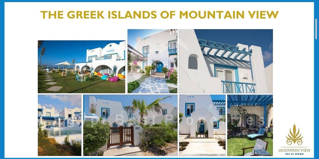 6 28a77ed4-4c9f-4b4b-8000-74938ed4cf98. jpg