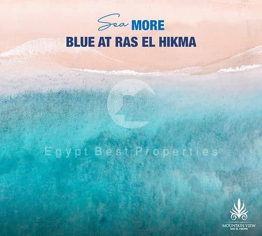 20 dbf7e4b0-0ca2-4bc7-86b9-a0abbad943fa. jpg