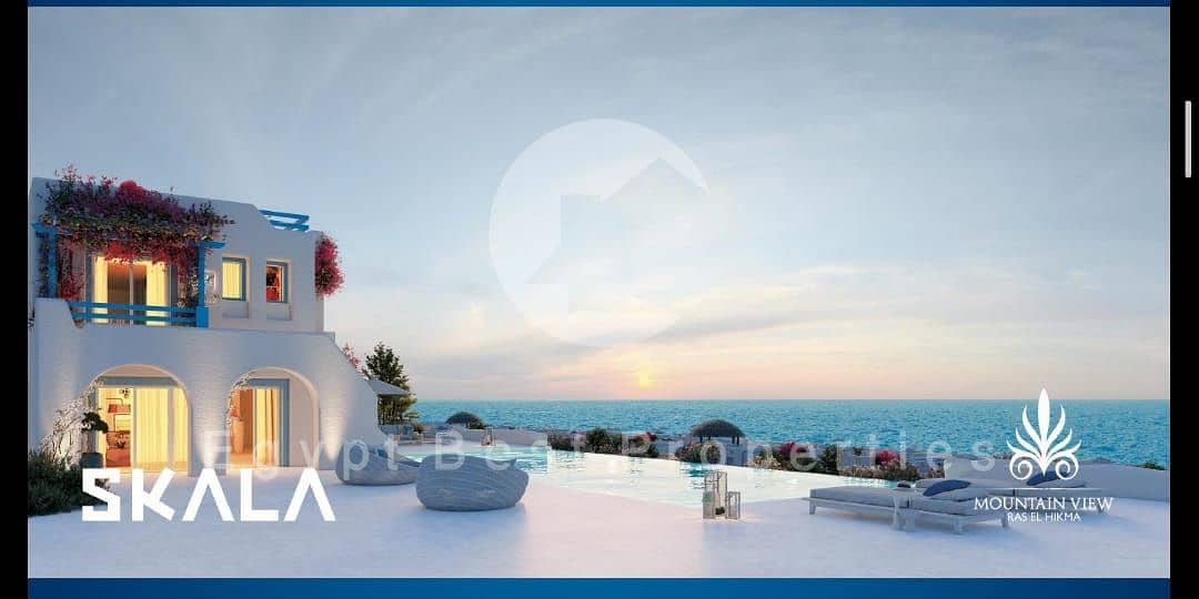 21 df161813-9c0a-4799-89f3-13772a036b77. jpg